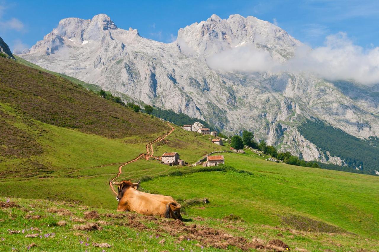 Bed and Breakfast El Caleyon Bulnes Zewnętrze zdjęcie
